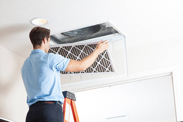 Best Local HVAC companies  in Lacoochee, FL